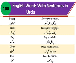 Words and Sentences