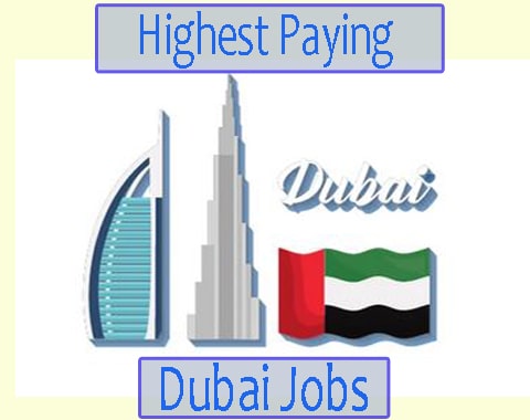 Highest Paying Industries and Jobs in Dubai